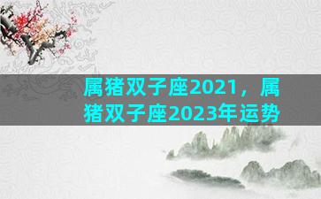 属猪双子座2021，属猪双子座2023年运势