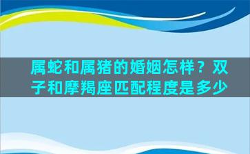 属蛇和属猪的婚姻怎样？双子和摩羯座匹配程度是多少