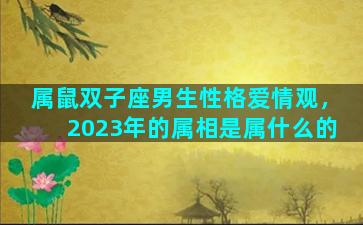 属鼠双子座男生性格爱情观，2023年的属相是属什么的