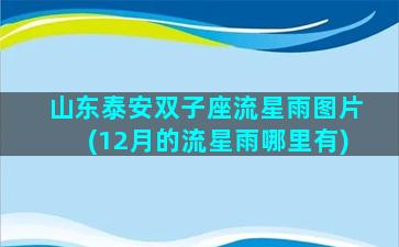 山东泰安双子座流星雨图片(12月的流星雨哪里有)