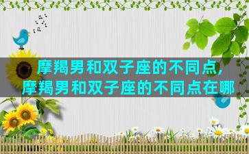 摩羯男和双子座的不同点,摩羯男和双子座的不同点在哪