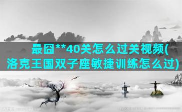 最囧**40关怎么过关视频(洛克王国双子座敏捷训练怎么过)