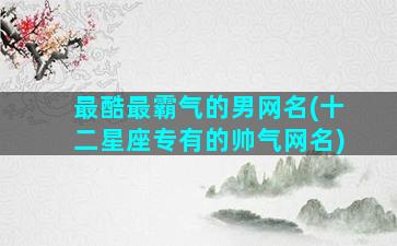 最酷最霸气的男网名(十二星座专有的帅气网名)