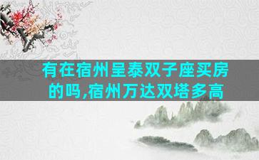 有在宿州呈泰双子座买房的吗,宿州万达双塔多高