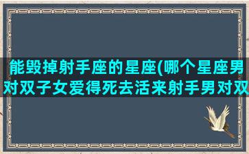 能毁掉射手座的星座(哪个星座男对双子女爱得死去活来射手男对双子女爱的不能自拔)