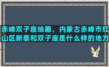 赤峰双子座绘画，内蒙古赤峰市红山区新泰和双子座是什么样的地方