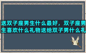 送双子座男生什么最好，双子座男生喜欢什么礼物送给双子男什么礼物最好