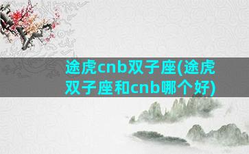 途虎cnb双子座(途虎双子座和cnb哪个好)