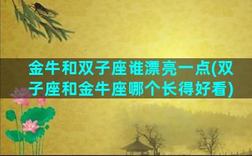 金牛和双子座谁漂亮一点(双子座和金牛座哪个长得好看)